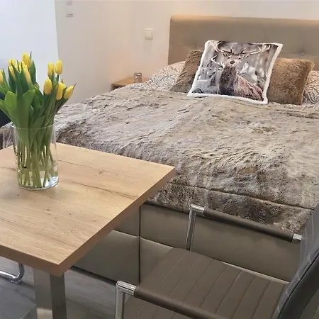 Apartment Village Romantic Near Cesky Krumlov (adults Only)
